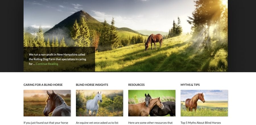 BlindHorses.org … And A Horse Named Ruffles